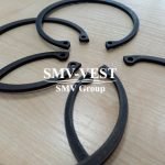 Wartsila L20 retaining ring 174074